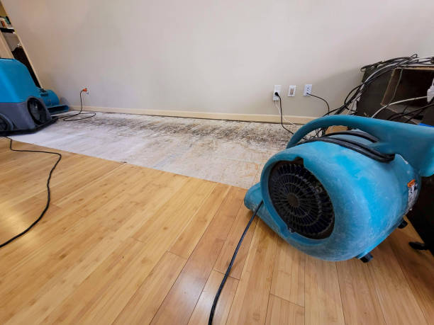Professional Flood Damage Cleanup technician working in Ravenna, OH